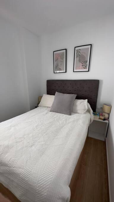 Rockside Residentes Suites La Linea La Línea de la Concepción エクステリア 写真